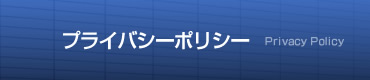 �v���C�o�V�[�|���V�[�@Privacy Policy